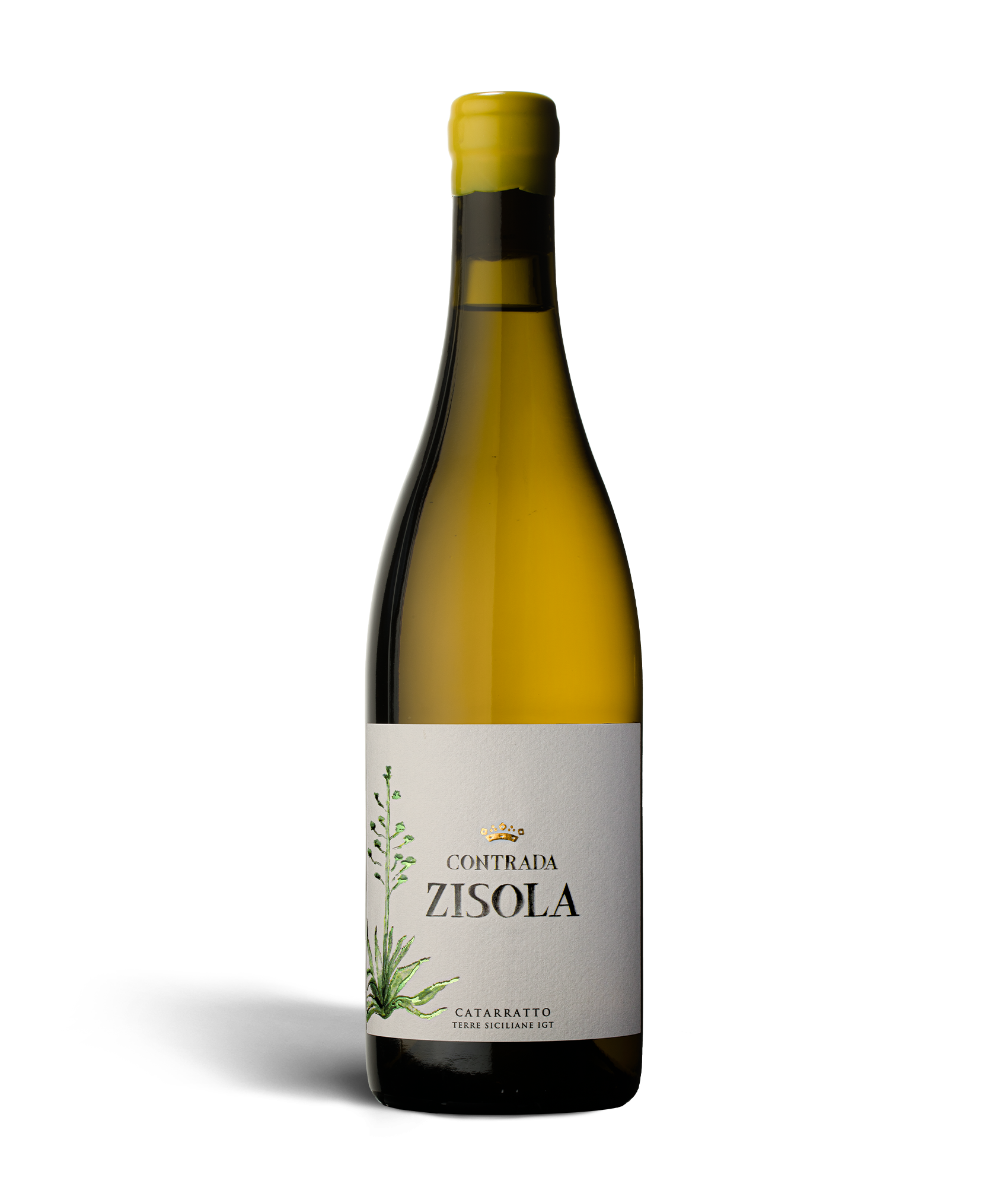 Contrada Zisola Catarratto Terre Siciliane IGT - Zisola - Mazzei Wines