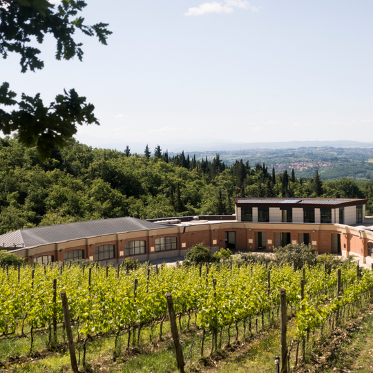 Alla scoperta della Cantina di Fonterutoli: fra architettura e vino