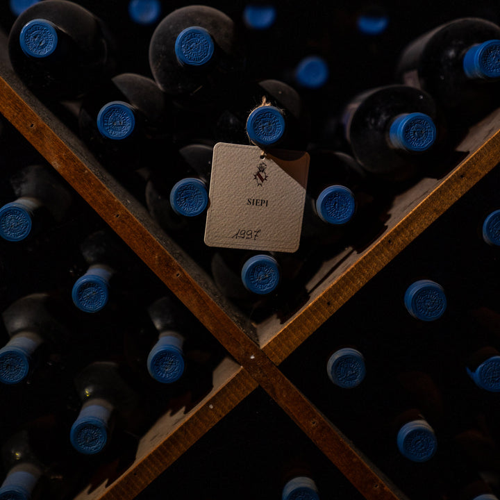 Azisa Grillo Sicilia DOC - Zisola - Mazzei Wines