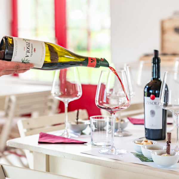 Premium Wine Tour Tasting - Zisola Estate Sicily - Mazzei